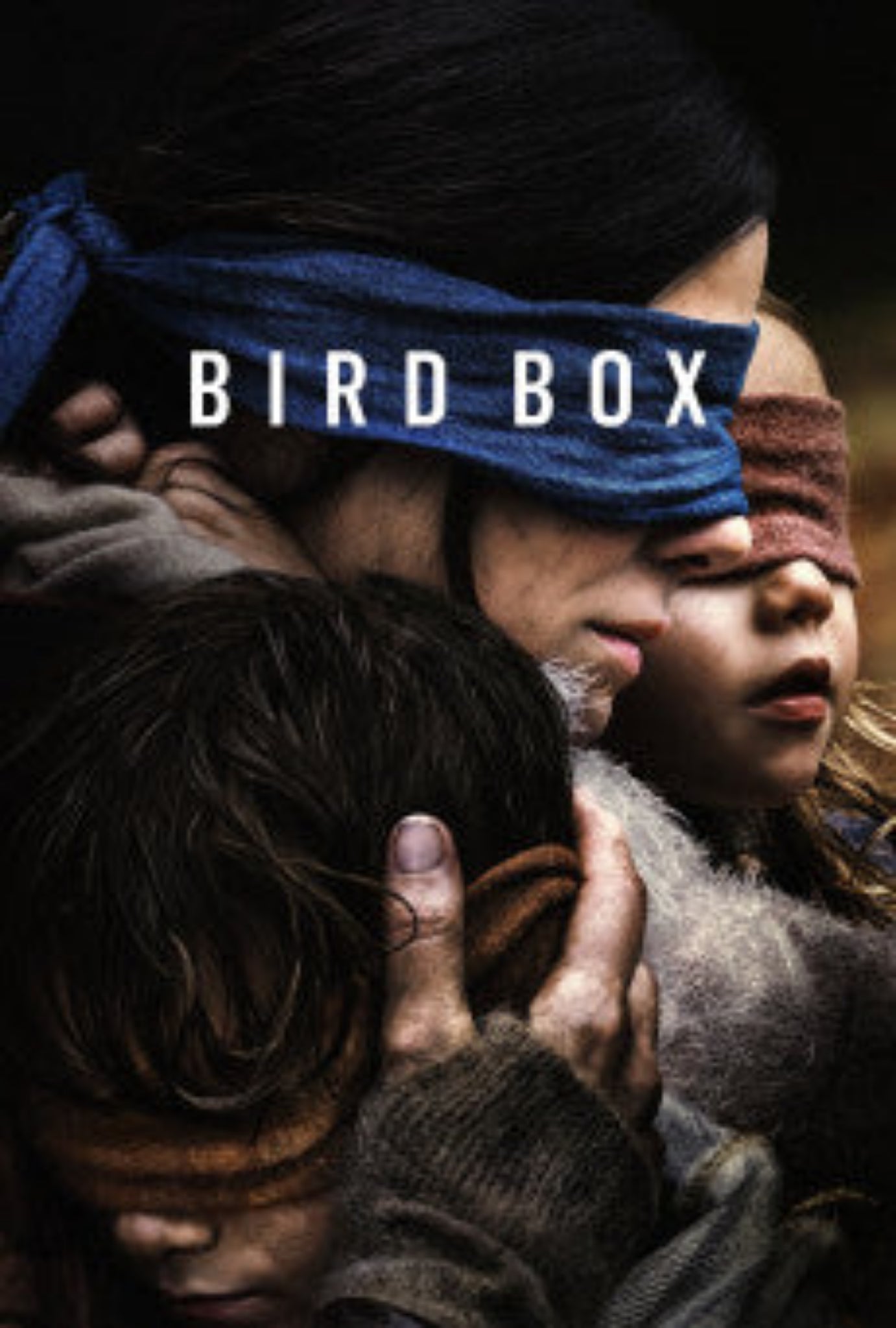 Bird Box 2018 ‧ Horror/Sci-fi ‧ 2h 4m