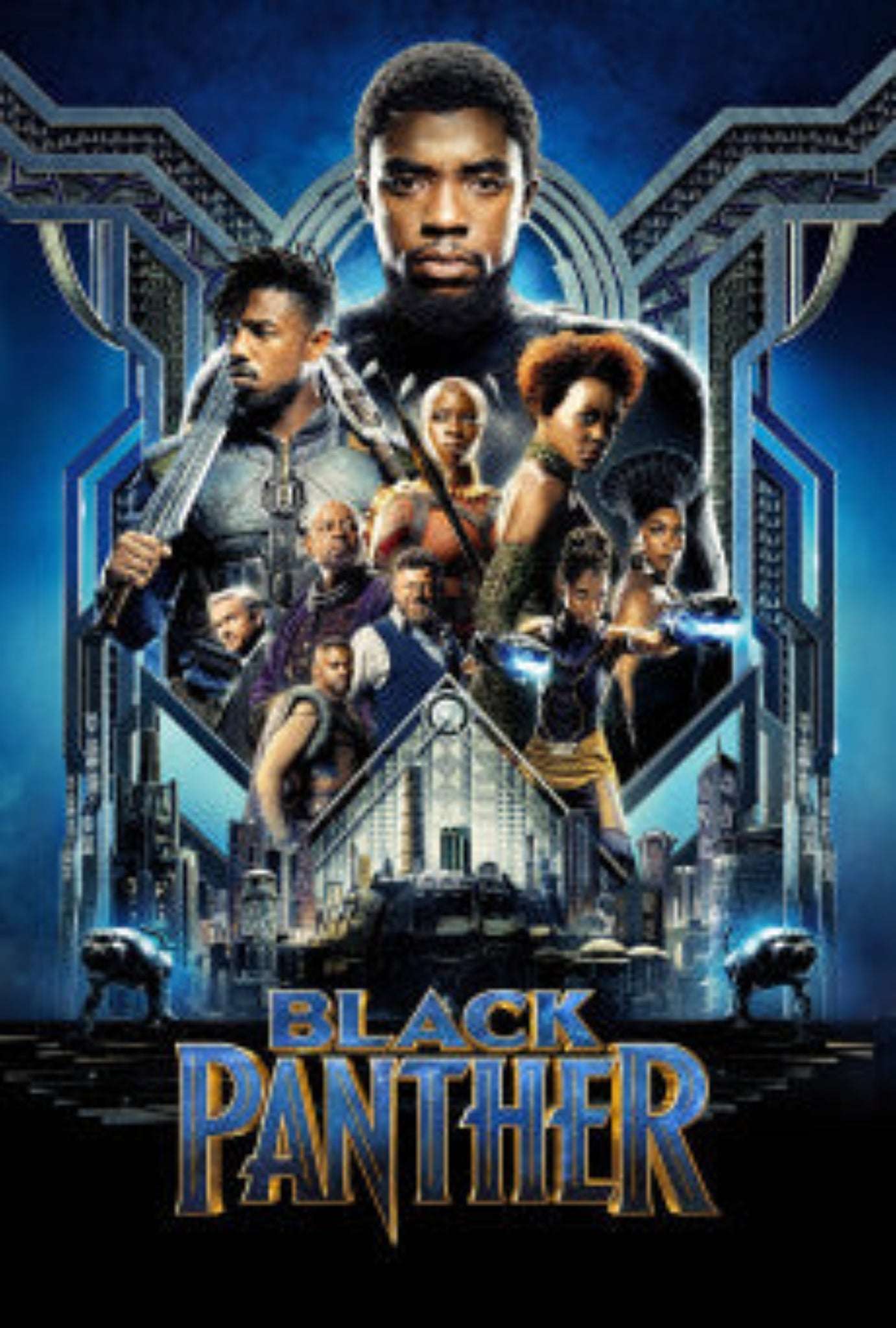 Black Panther 2018 ‧ Action/Sci-fi ‧ 2h 15m